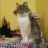 Отзыв от Надежда Максимова